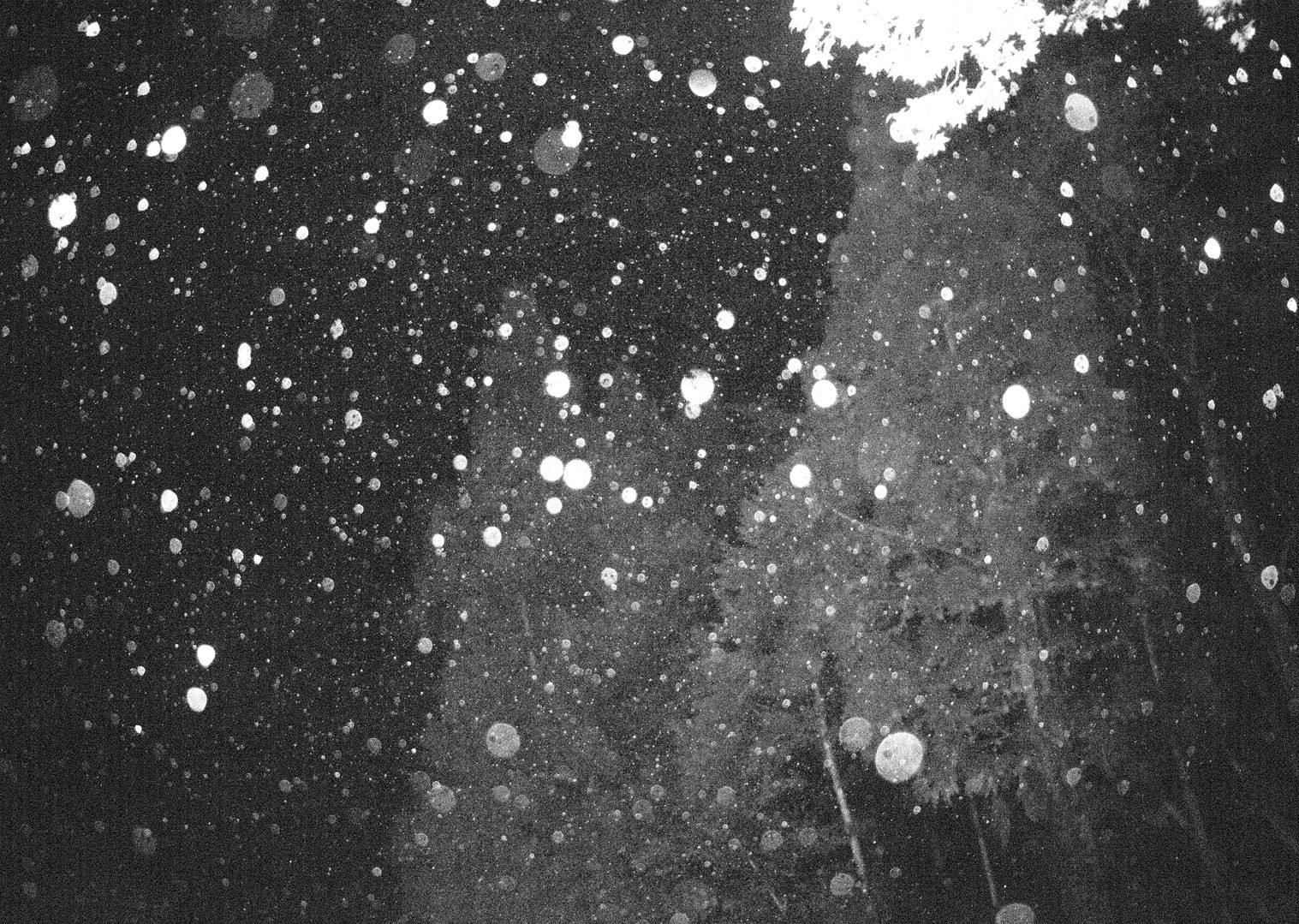 火山心中 / Yoshiaki Sera