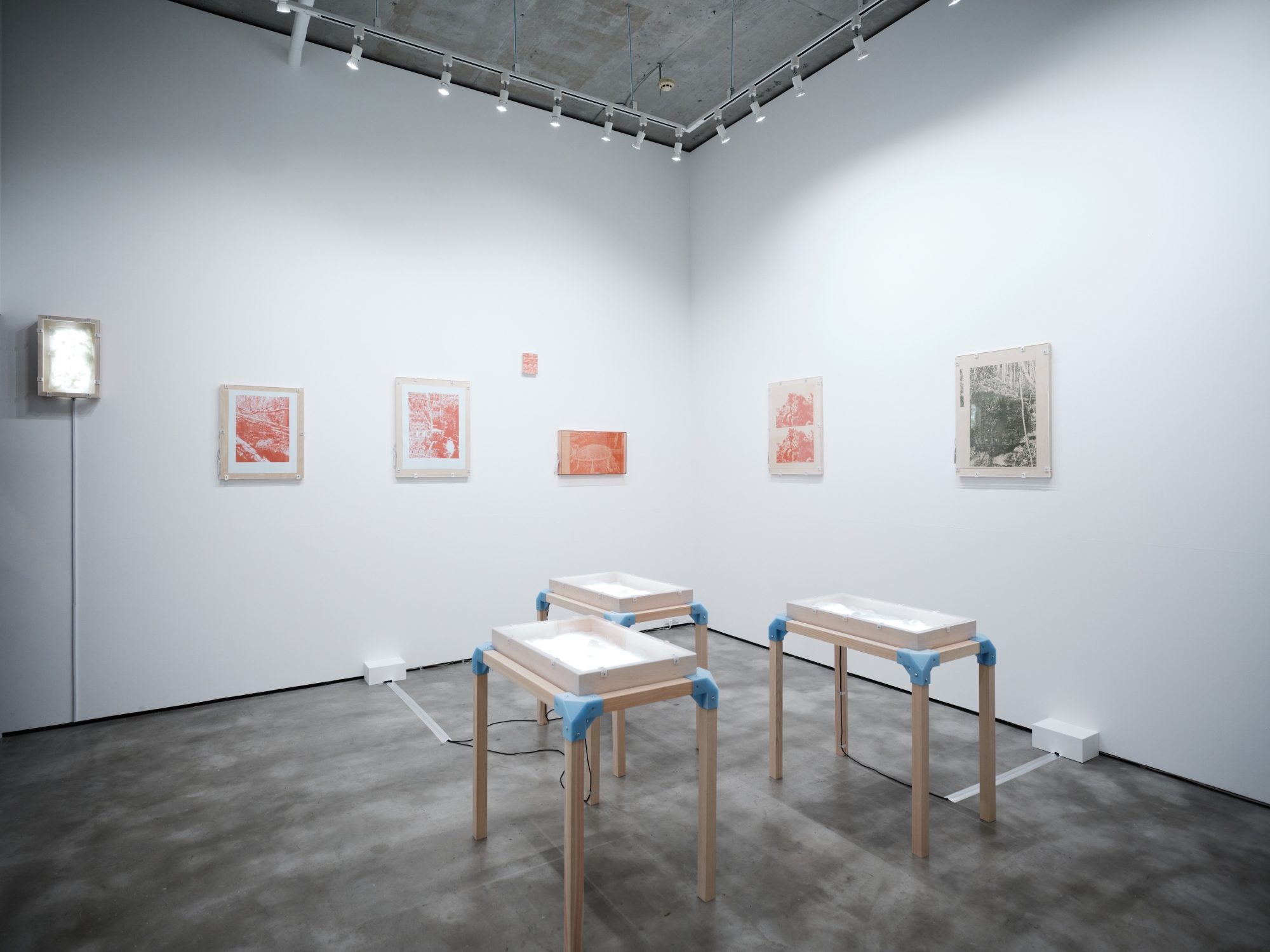 Save Points / Naomi Nakazato