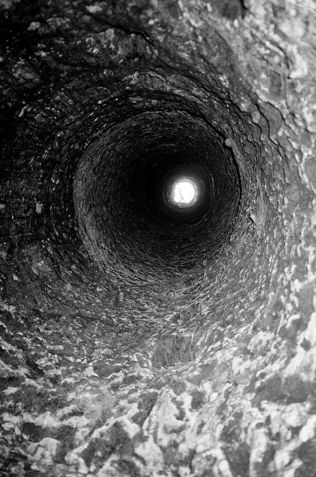 EXPÉRIENCE DISTORSION (2023)