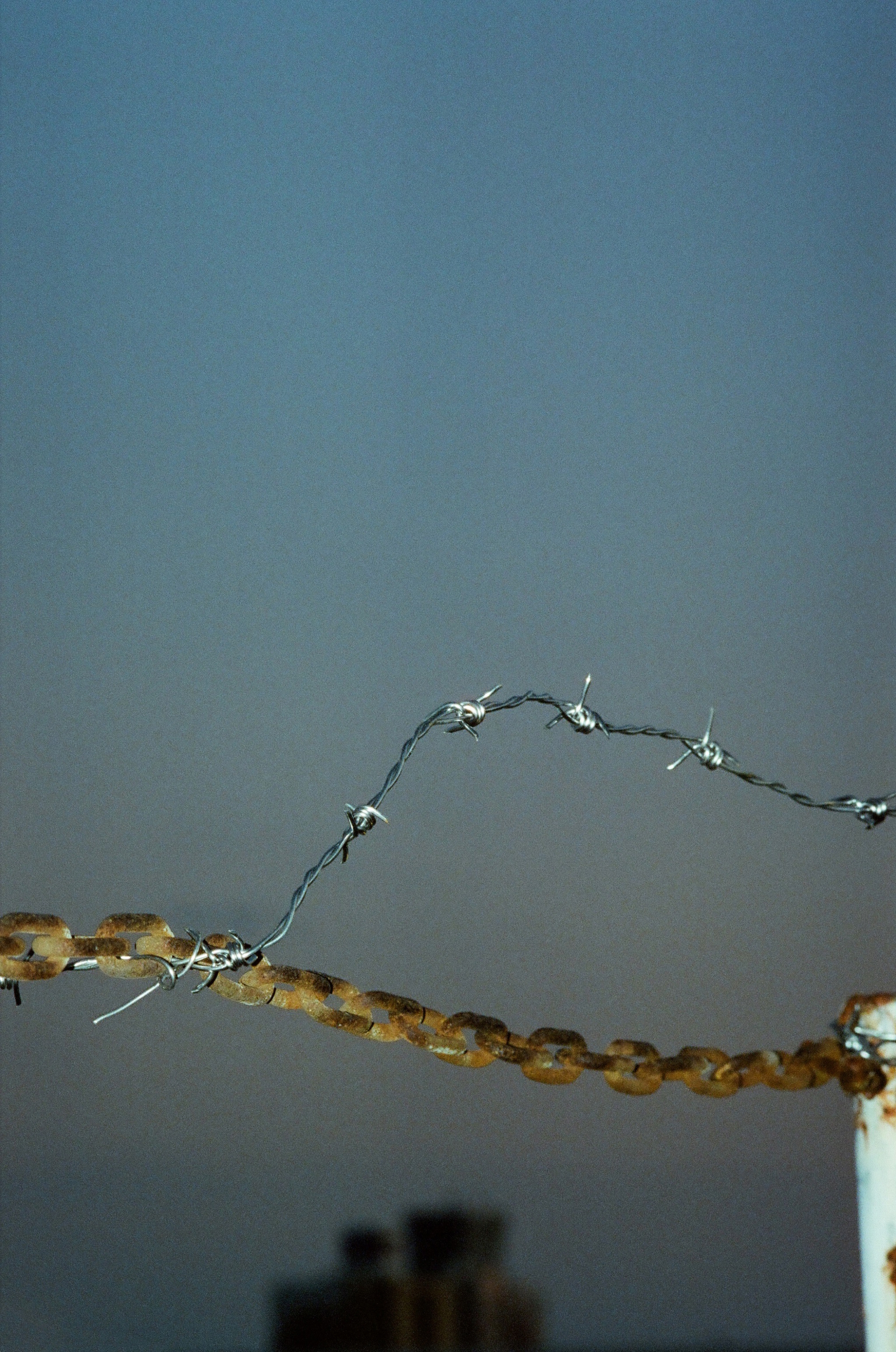 THROUGH SCOTOMA / Yushi Arimura