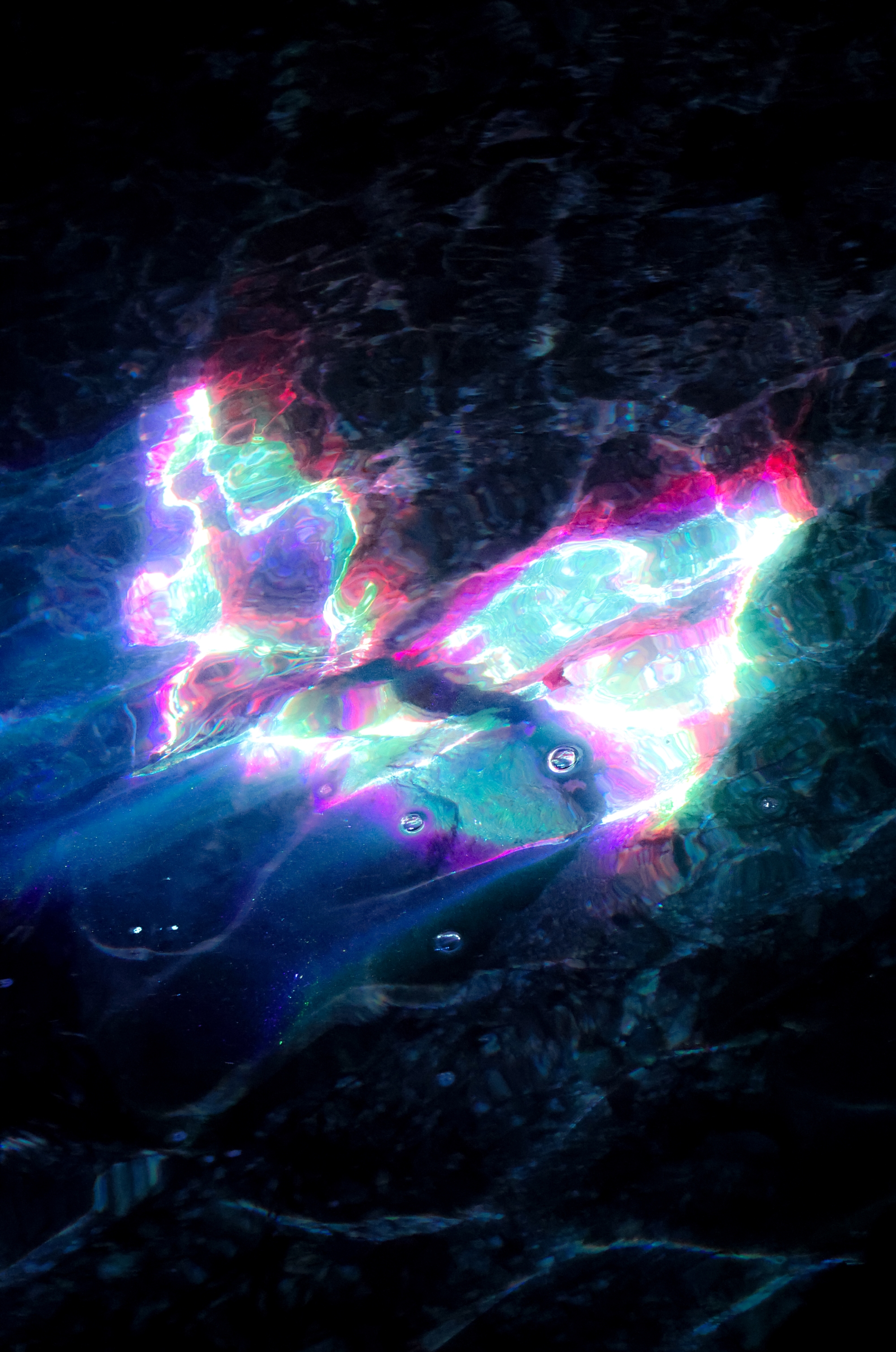 Emergence / Ruka Kashiwagi