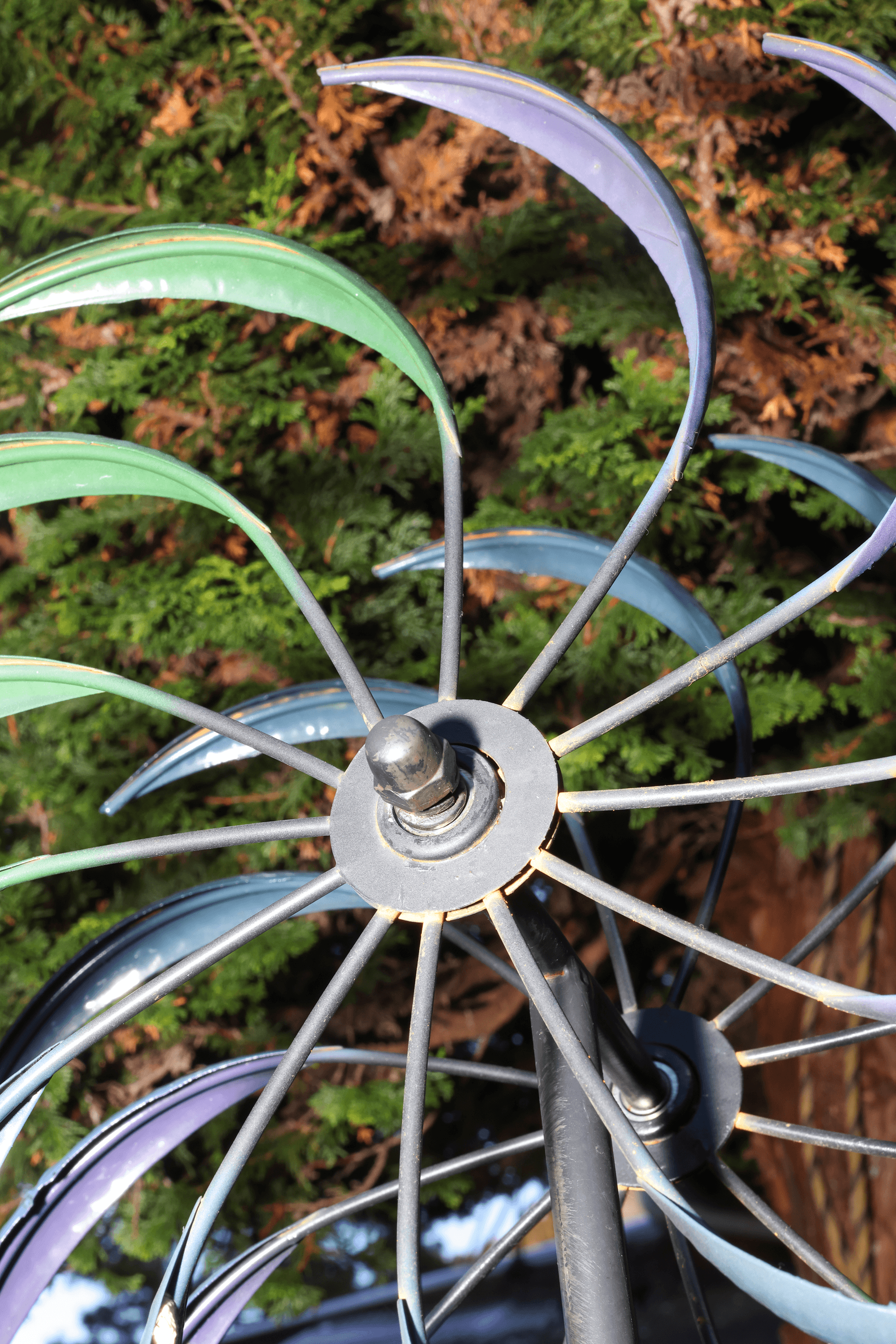 Emergence / Ruka Kashiwagi