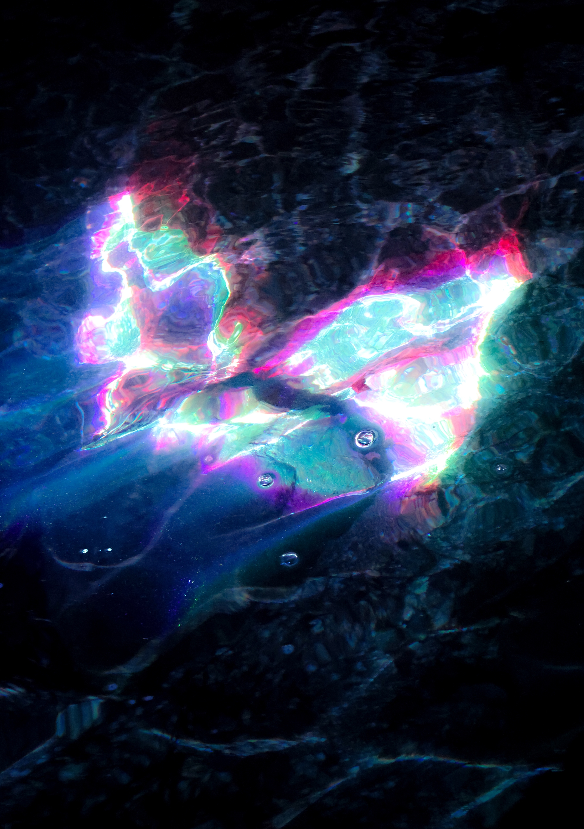 Emergence / Ruka Kashiwagi