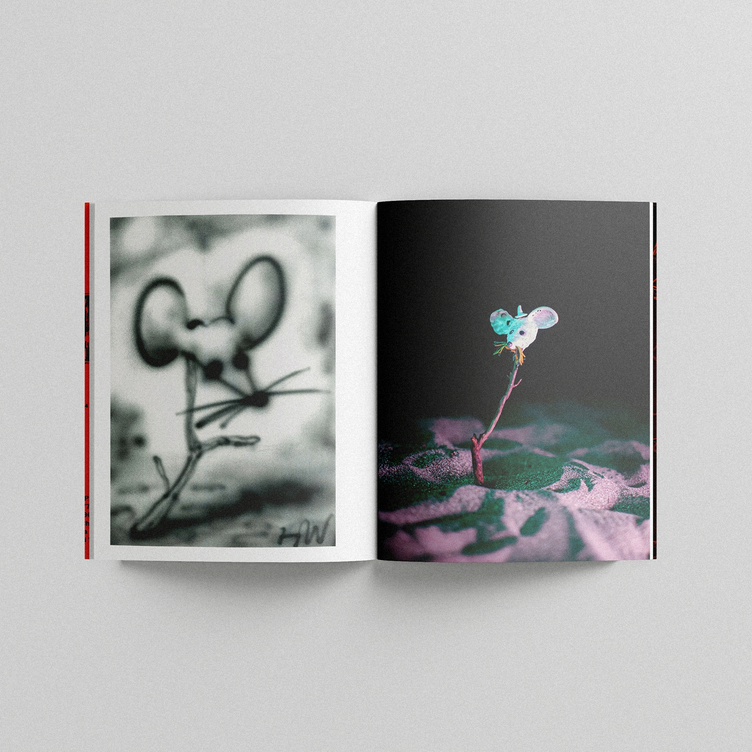 LAID BUG BOOK CHANCE
