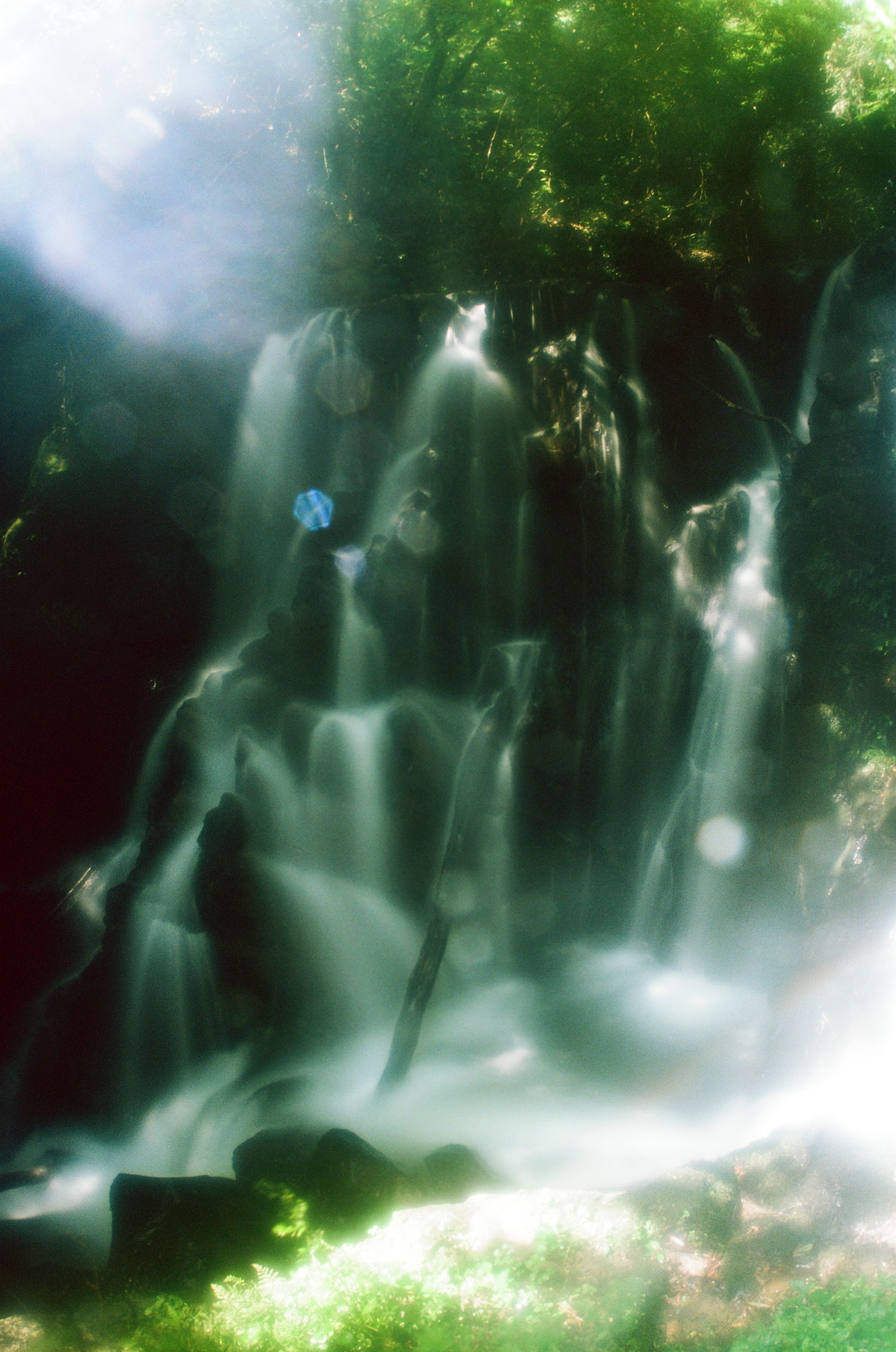 Halation / Yushi Arimura