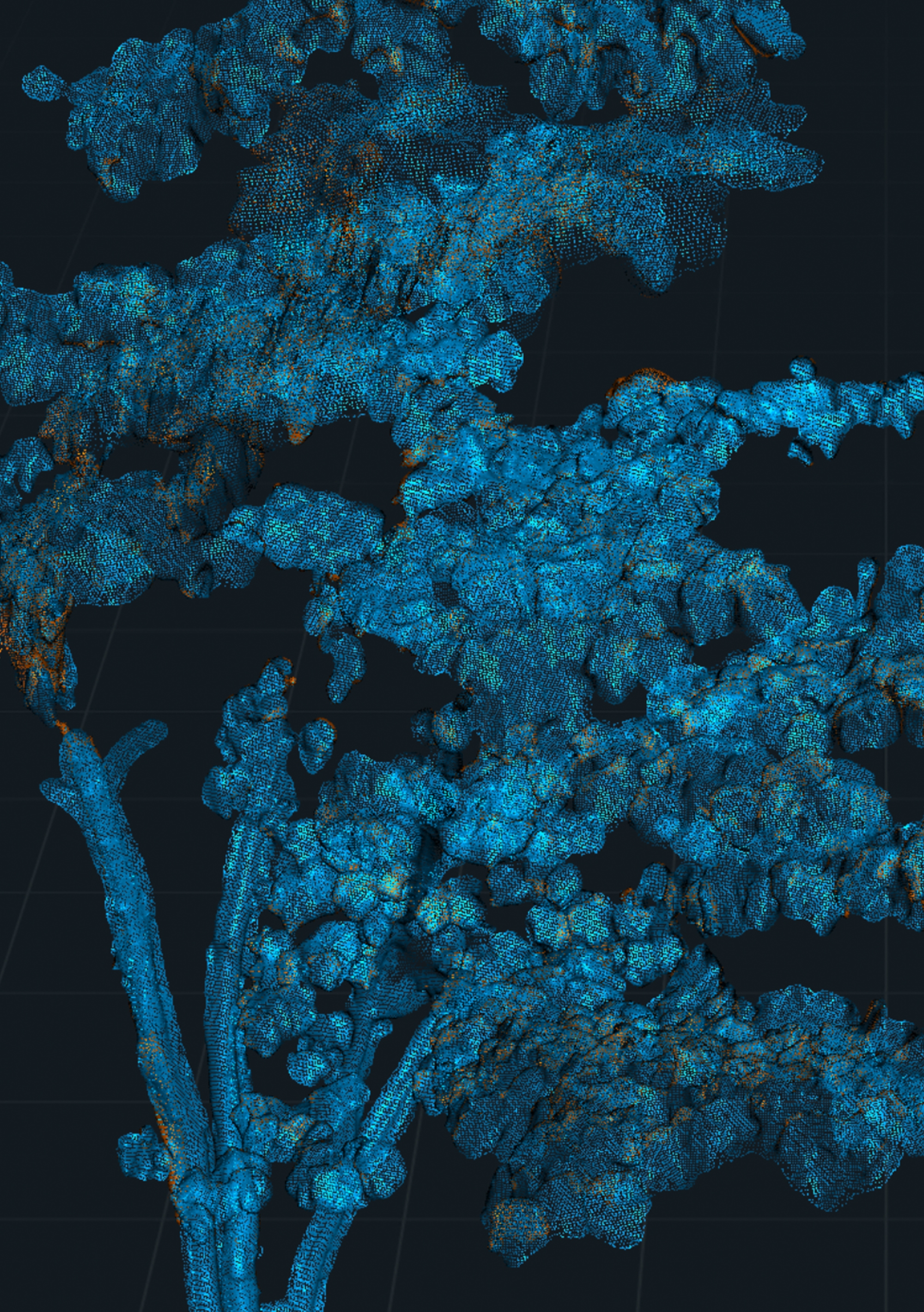 Ground, Grammar, Glitch / Jonathan Vervoort