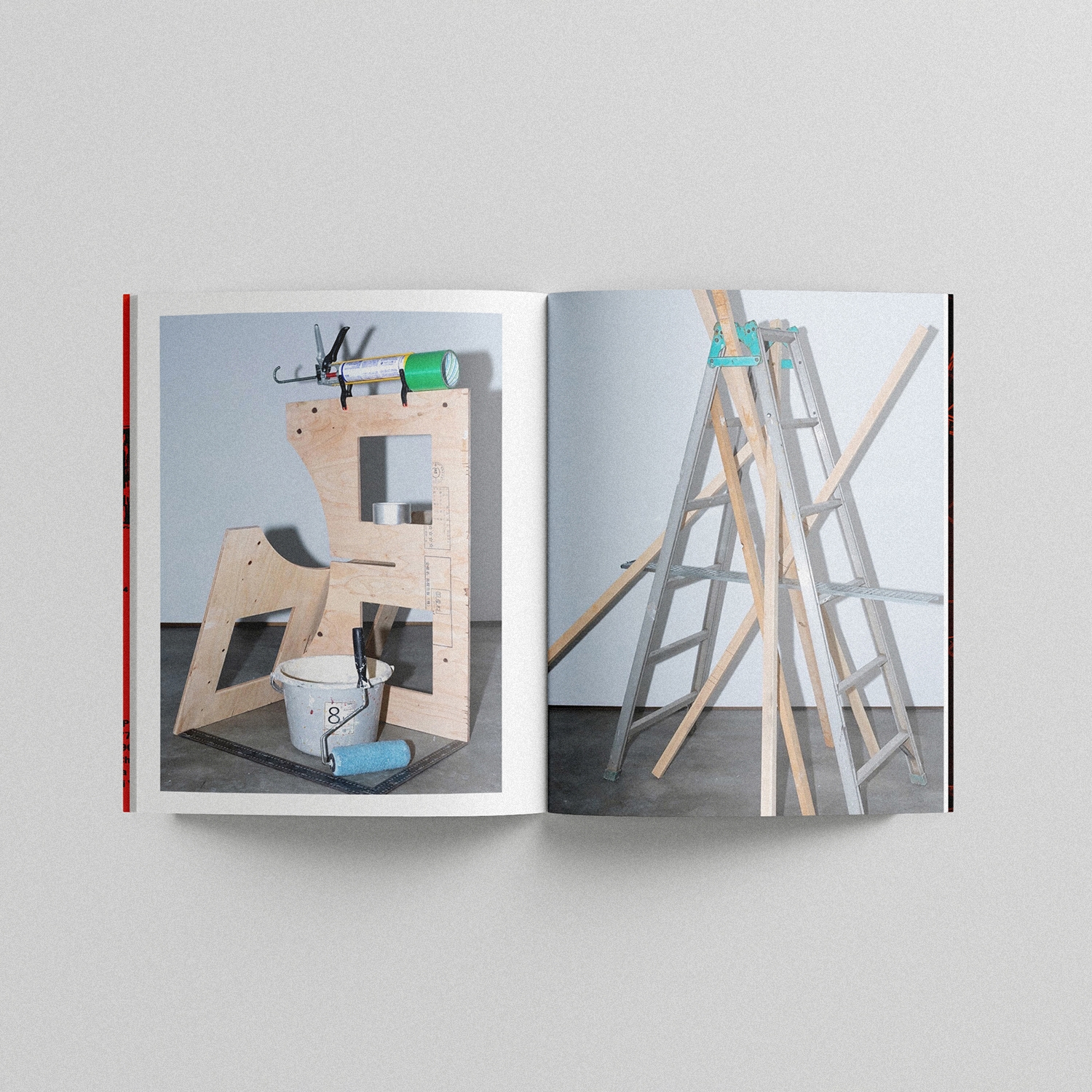 LAID BUG BOOK CHANCE