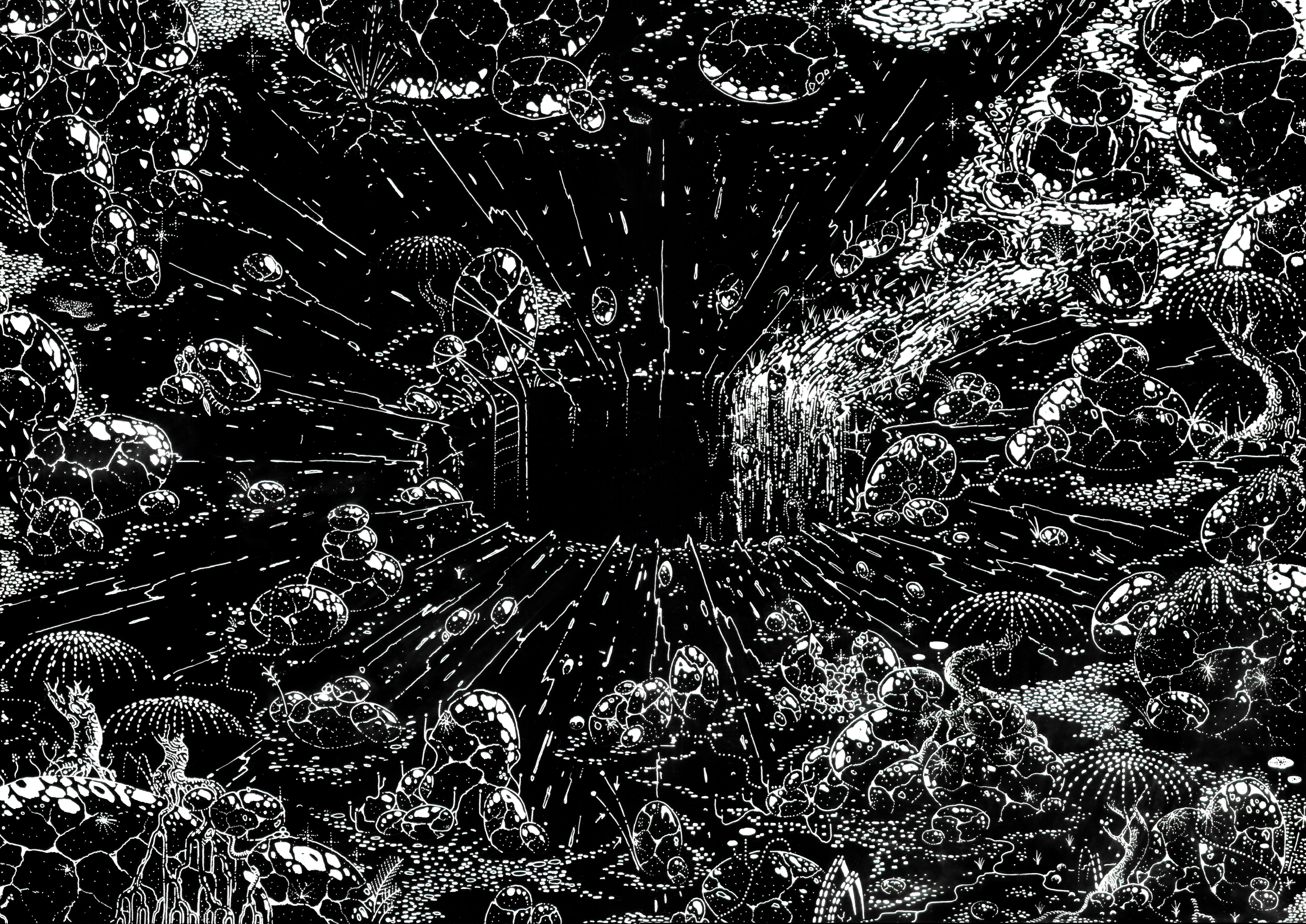 EXPÉRIENCE DISTORSION (2023)