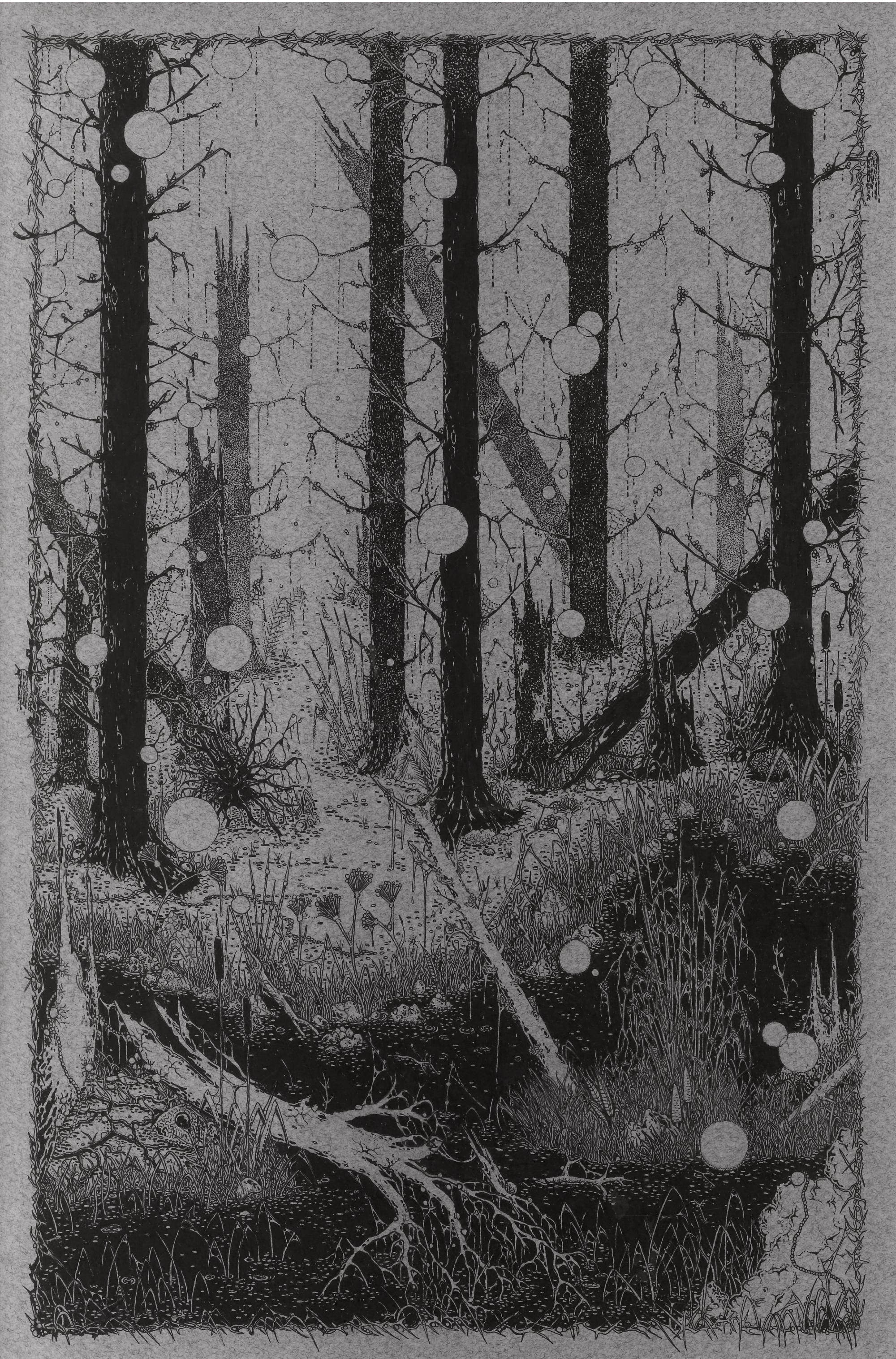 A PATH THROUGH THE LOOP / Jack Tezam