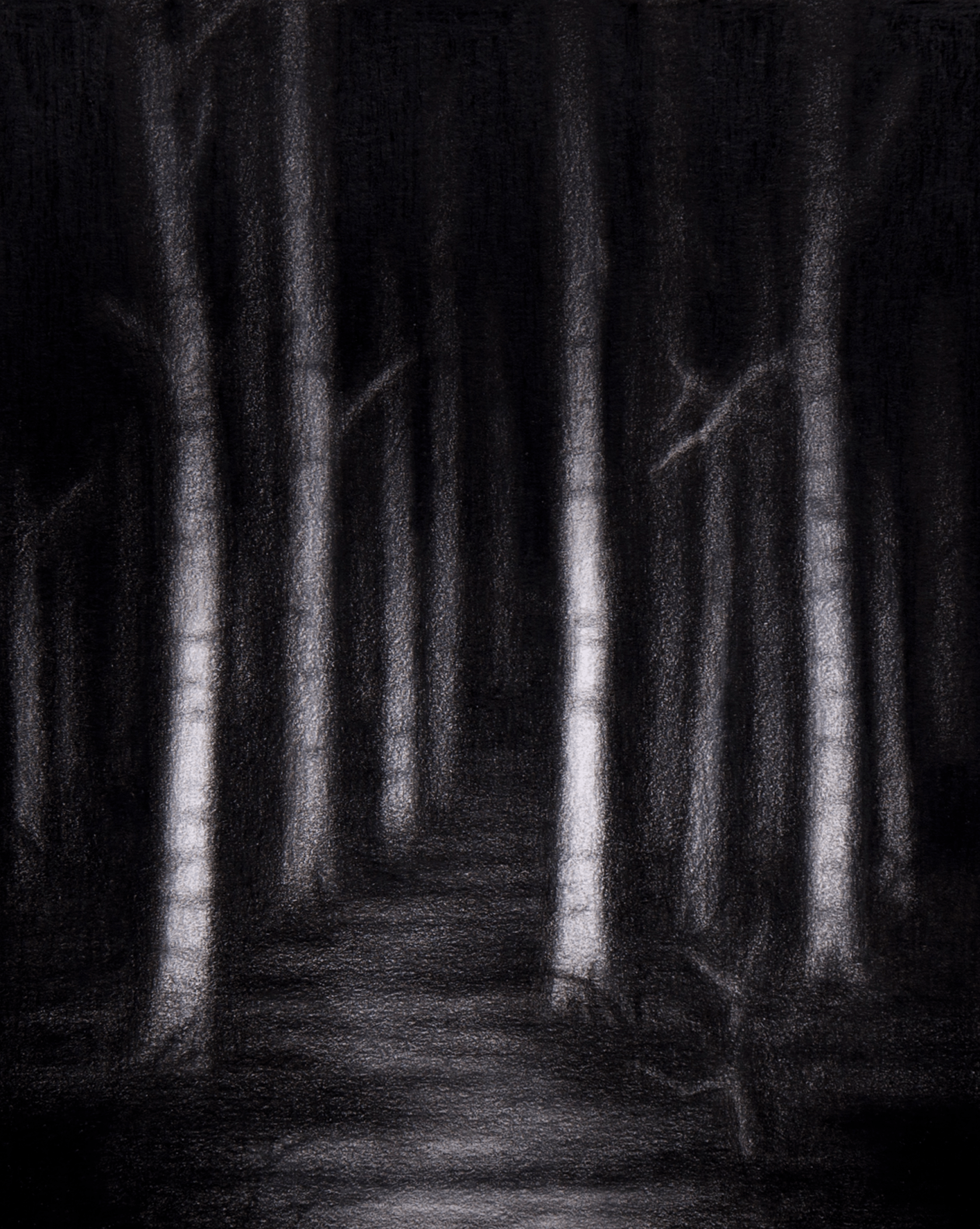 The Night / Steffen Kern